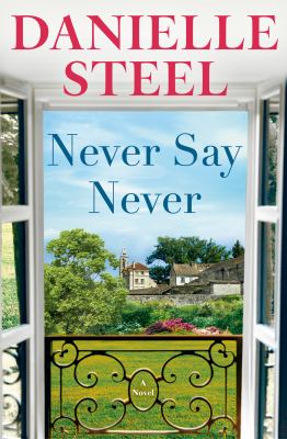 Never say never A novel.