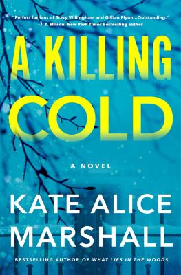 A killing cold : a novel 