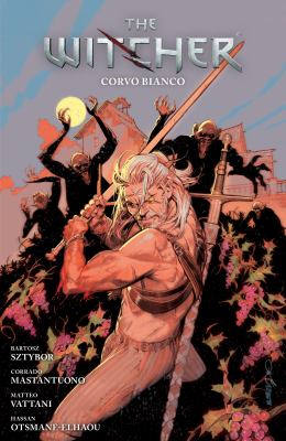 The Witcher. Volume 9