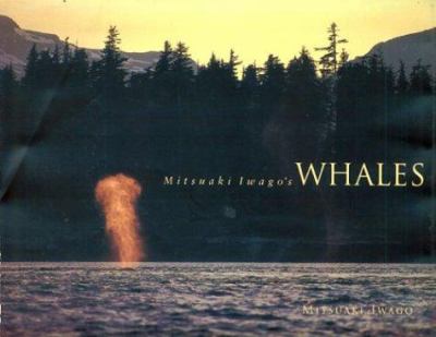 Mitsuaki Iwago's whales 