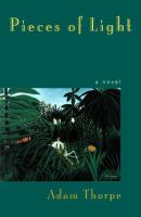 Pieces of light : a novel  Cover Image