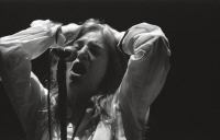 Patti Smith : simply a concert  Cover Image