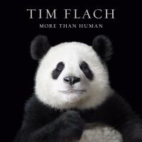 More than human  Cover Image