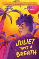 Juliet Takes a Breath Cover Image