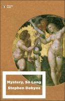 Mystery, so long  Cover Image