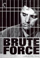 Brute force Cover Image