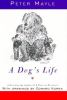 Go to record A dog's life
