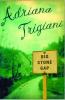 Go to record Big Stone Gap : a novel