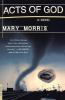 Go to record Acts of God : a novel