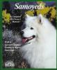 Go to record Samoyeds : everything about purchase, care, nutrition, gro...