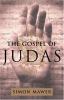 Go to record The gospel of Judas : a novel