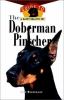 Go to record The Doberman pinscher
