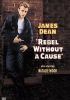 Go to record Rebel without a cause