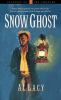 Go to record Snow ghost