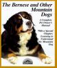 Go to record The Bernese and other mountain dogs : Bernese, Greater Swi...
