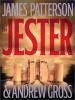 Go to record The jester : a novel