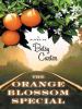 Go to record The Orange Blossom Special