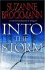 Go to record Into the storm : a novel