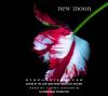 Go to record New moon