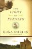 Go to record The light of evening : [a novel].
