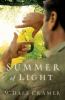 Go to record Summer of light : a novel