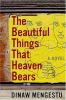 Go to record The beautiful things that heaven bears : [a novel]