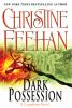 Go to record Dark possession : a Carpathian novel