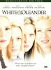 Go to record White oleander