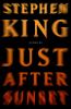 Go to record Just after sunset : stories