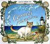 Go to record Cause and effect : an Andrew Broom mystery