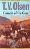 Go to record Canyon of the gun