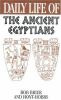 Go to record Daily life of the ancient Egyptians