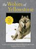 Go to record The wolves of Yellowstone