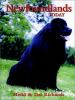 Go to record Newfoundlands today