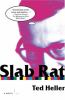 Go to record Slab rat : a novel