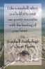 Go to record The Seashell anthology of great poetry