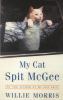Go to record My cat Spit McGee