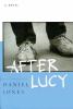 Go to record After Lucy : a novel