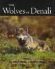 Go to record The wolves of Denali