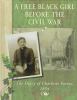 Go to record A free Black girl before the Civil War : the diary of Char...