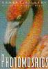 Go to record Photomosaics