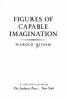 Go to record Figures of capable imagination