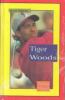 Go to record Tiger Woods