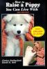 Go to record How to raise a puppy you can live with