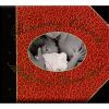 Go to record Mothers & daughters