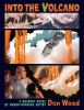 Go to record Into the volcano : a graphic novel