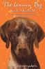 Go to record The leanin' dog