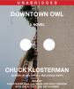 Go to record Downtown Owl a novel