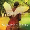 Go to record The secret scripture a novel
