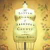 Go to record The little giant of Aberdeen County a novel